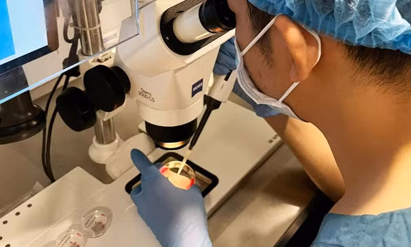 Bước tiến mới trong thụ tinh ống nghiệm: Làm IVF không cần kích buồng trứng