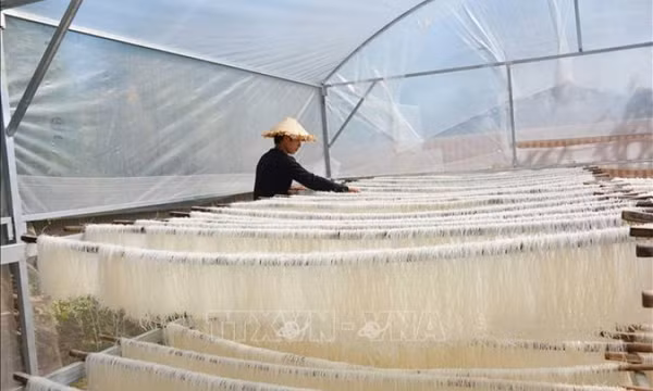 EC siết chặt kiểm tra dư lượng thuốc trừ sâu trong phở, bún từ Việt Nam