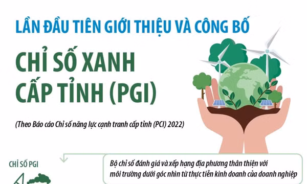 Lần đầu tiên giới thiệu và công bố Chỉ số Xanh (PGI) cấp tỉnh