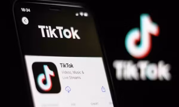 Nhạc chế độc hại trên TikTok Việt