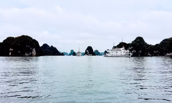 Thông tin chính thức về vụ nữ du khách nước ngoài tố bị xâm hại trên biển Hải Phòng