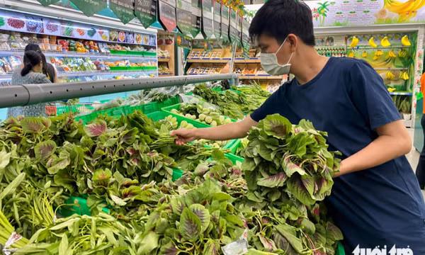 Ăn rau sống, ăn thô sao để không nhiễm ký sinh trùng?