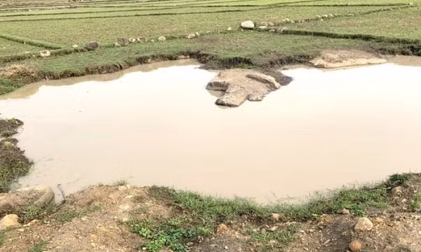 Bàng hoàng phát hiện thi thể 2 em nhỏ nổi trên hồ nước ở Gia Lai
