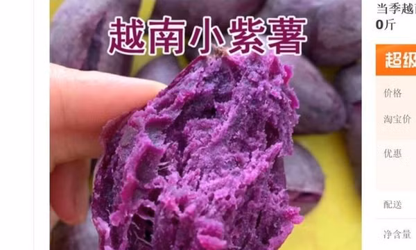 Trung Quốc đón lô khoai lang đầu tiên nhập khẩu từ Việt Nam