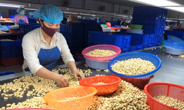 Cú xoay chiều lịch sử, ngành hàng tỷ USD chao đảo từ ngôi số 1 thế giới