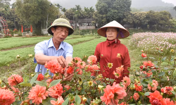 Người cán bộ thôn dẫn dắt phong trào đổi mới