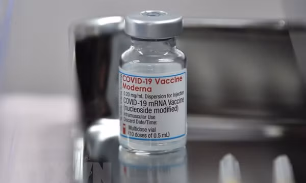 Hãng Moderna khẳng định tiêm mũi tăng cường giúp bảo vệ chống Omicron