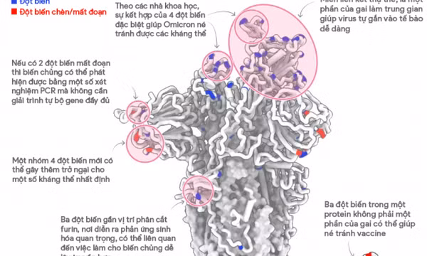 Công bố mới của WHO về biến chủng Omicron
