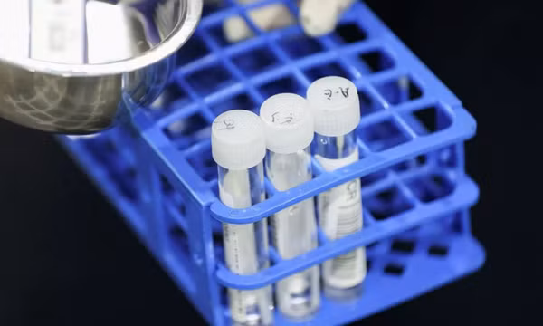 Hàng trăm người Đan Mạch nhiễm Omicron dù đã tiêm ba mũi
