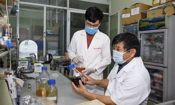 Vận dụng tối đa quy định để cấp phép lưu hành thuốc điều trị COVID-19