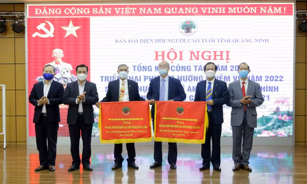 Hội Người cao tuổi tỉnh triển khai nhiệm vụ năm 2022