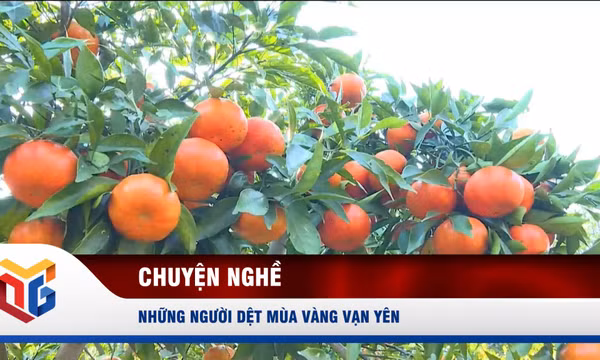 Những người dệt mùa vàng Vạn Yên