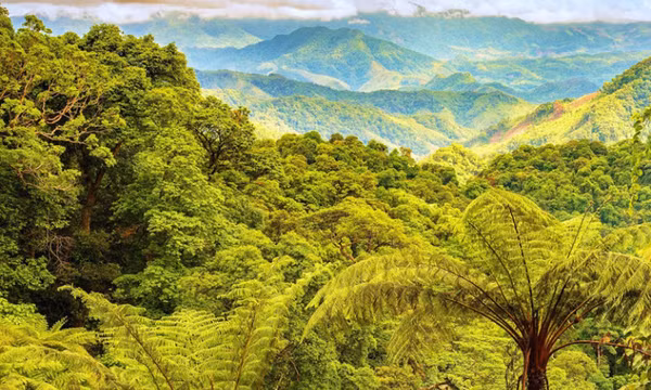 Tạp chí du lịch AFAR của Mỹ: Phong Nha - Kẻ Bàng: Một trong 39 điểm đến năm 2022