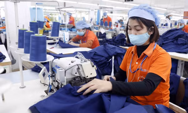 Doanh nghiệp Việt và hành trình giữ vững chuỗi cung ứng trong dịch COVID-19 