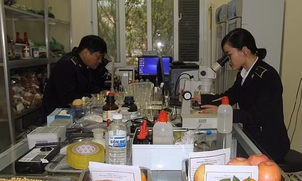 Sửa quy định thủ tục kiểm dịch thực vật xuất, nhập khẩu