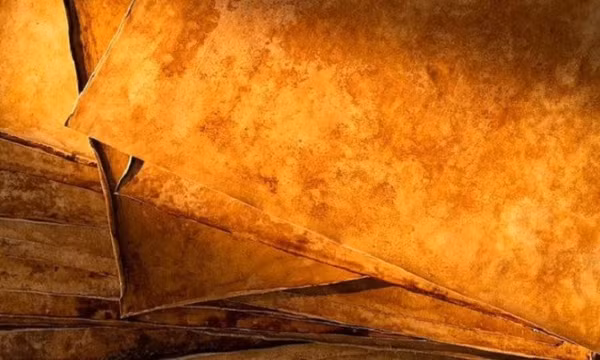 Da nhân tạo từ nấm giống hệt da thật