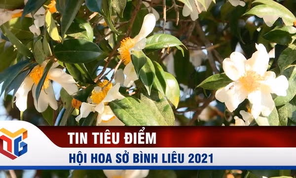 Hội hoa sở Bình Liêu năm 2021