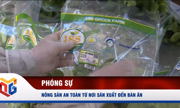 Nông sản an toàn từ nơi sản xuất đến bàn ăn