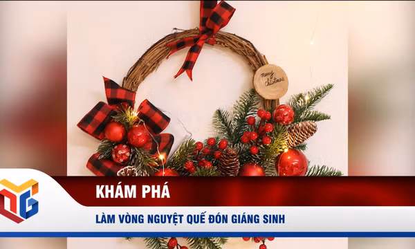Làm vòng nguyệt quế đón giáng sinh
