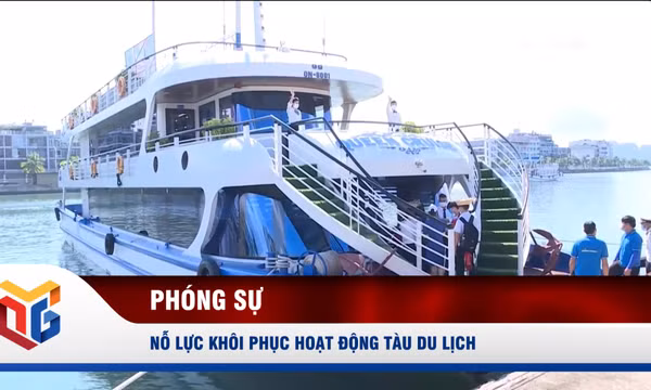 Nỗ lực khôi phục hoạt động tàu du lịch