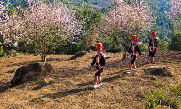 Sắc xuân biên cương