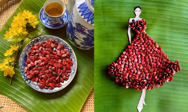 Bộ sưu tập váy dạ hội làm từ mứt Tết