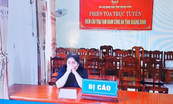 Lợi dụng hoãn thi hành án, bà bầu lừa đảo thêm 3 tỷ đồng