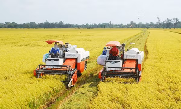 “Luồng gió mới" thể hiện quyết tâm của Chính phủ từng bước hiện đại hoá ngành sản xuất lúa gạo