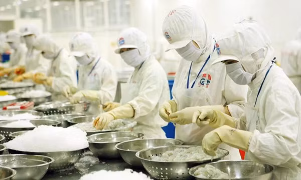 Lấy lại đà tăng trưởng xuất khẩu tôm