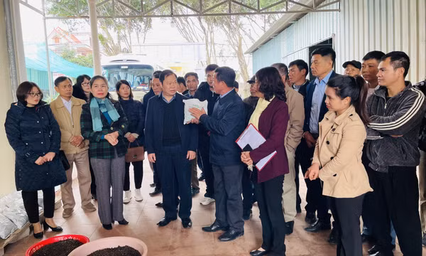 Hội nghị chia sẻ kinh nghiệm phát triển mô hình kinh tế cho nông dân 
