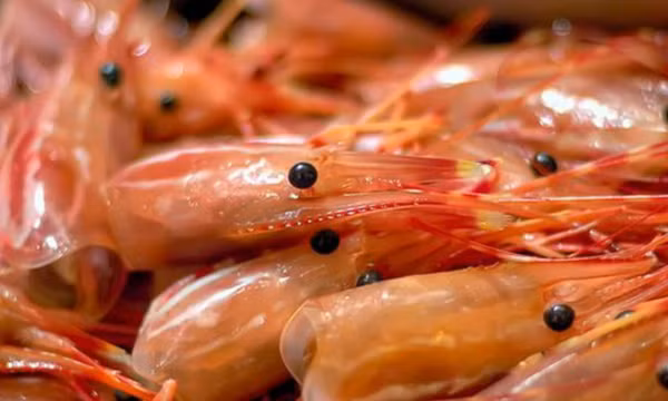Lý do không nên xay đầu tôm để nấu canh?