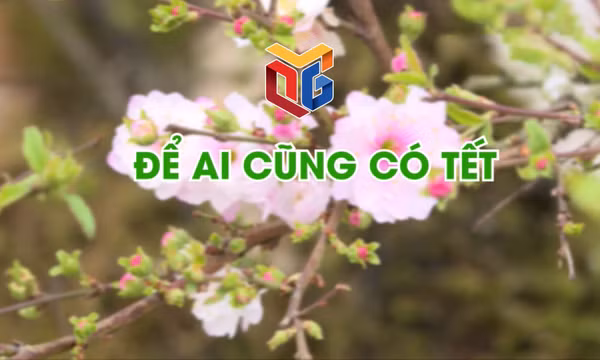 Để ai cũng có Tết