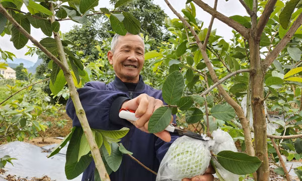 Ngày mới ở Sơn Dương