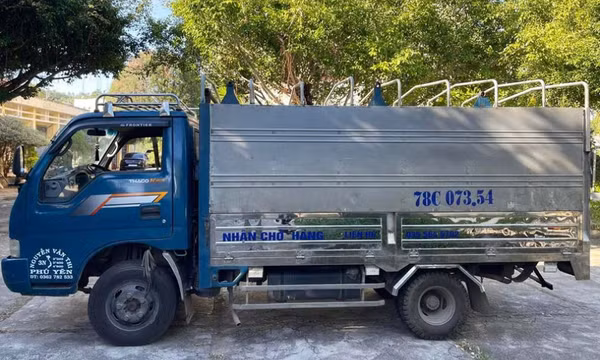 Nam thanh niên ở Phú Yên thuê xe tải đi trộm bò để lấy tiền xài Tết