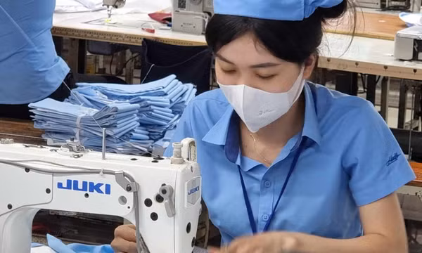 Tiền lương bình quân tại doanh nghiệp là bao nhiêu?