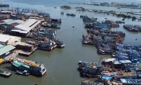 Cần giải pháp đồng bộ để gỡ thẻ vàng EC đối với hải sản Việt Nam