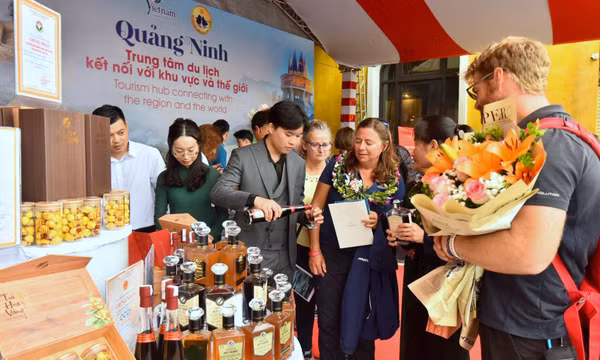 Quảng bá sản vật, du lịch Quảng Ninh qua Clipper Race
