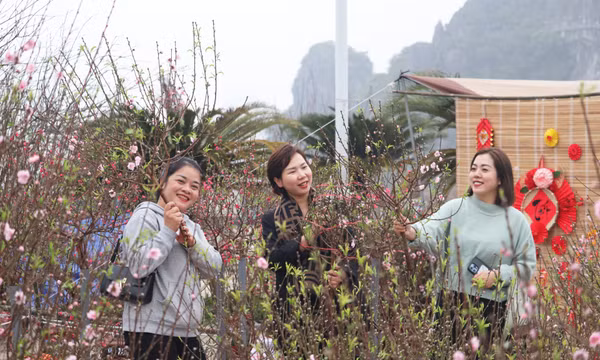 Ngập tràn sắc hoa xuân