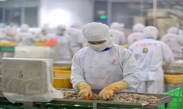 Kỳ vọng tăng mạnh xuất khẩu nông sản sang Trung Quốc
