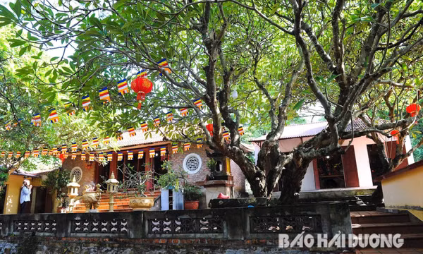Chùa Ngũ Đài - chốn tổ linh thiêng, vị trí quan trọng trong Thiền phái Trúc Lâm