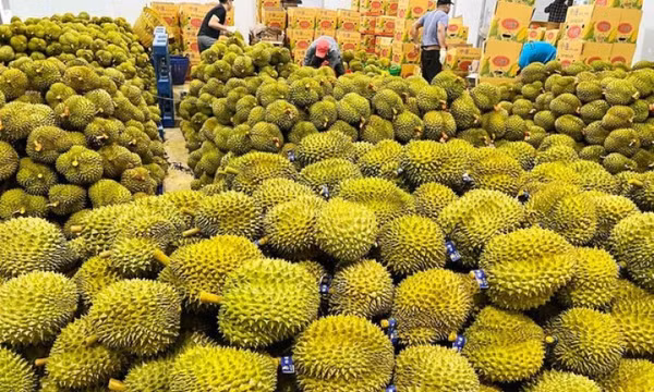 "Rộng cửa” cho trái cây Việt Nam sang thị trường Trung Quốc