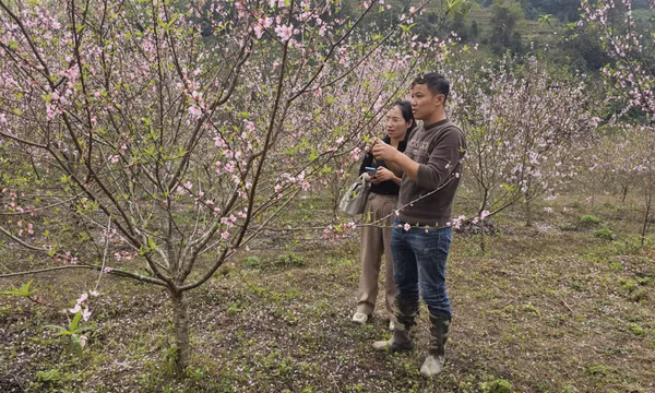Bình Liêu: Để người dân thoát nghèo bền vững