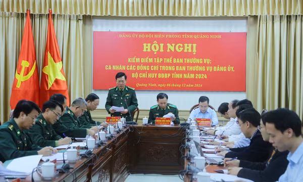 Đảng ủy Bộ đội Biên phòng tỉnh kiểm điểm tập thể, cá nhân năm 2024