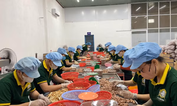 Xuất khẩu nông lâm thủy sản vượt mục tiêu năm 2024