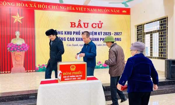 Trên 315.000 cử tri toàn tỉnh tiến hành bầu cử trưởng thôn, bản, khu phố 