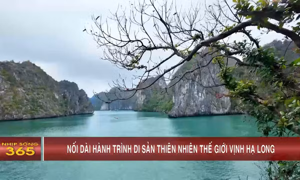 Nối dài hành trình di sản thiên nhiên thế giới Vịnh Hạ Long