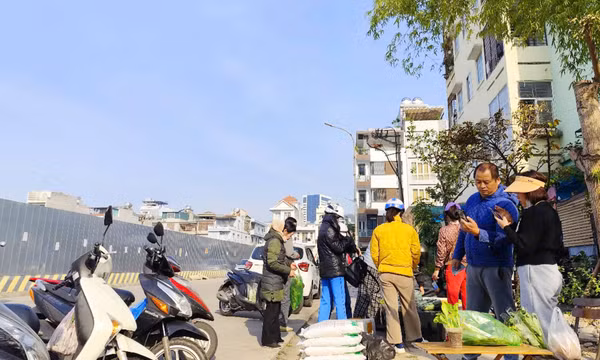 Chuyện "nông dân phố" trồng rau sạch 