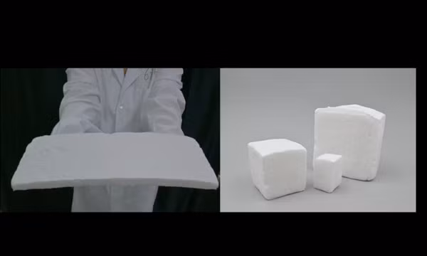 Bọt biển từ bông và xương mực hút hơn 99% vi nhựa trong nước