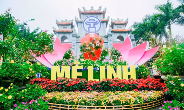 Sắp diễn ra lễ hội hoa lớn nhất miền Bắc
