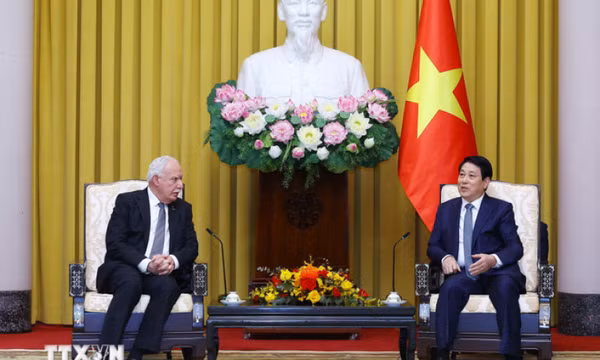 Việt Nam ủng hộ sự nghiệp đấu tranh chính nghĩa của nhân dân Palestine